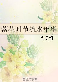 落花時節流水年華